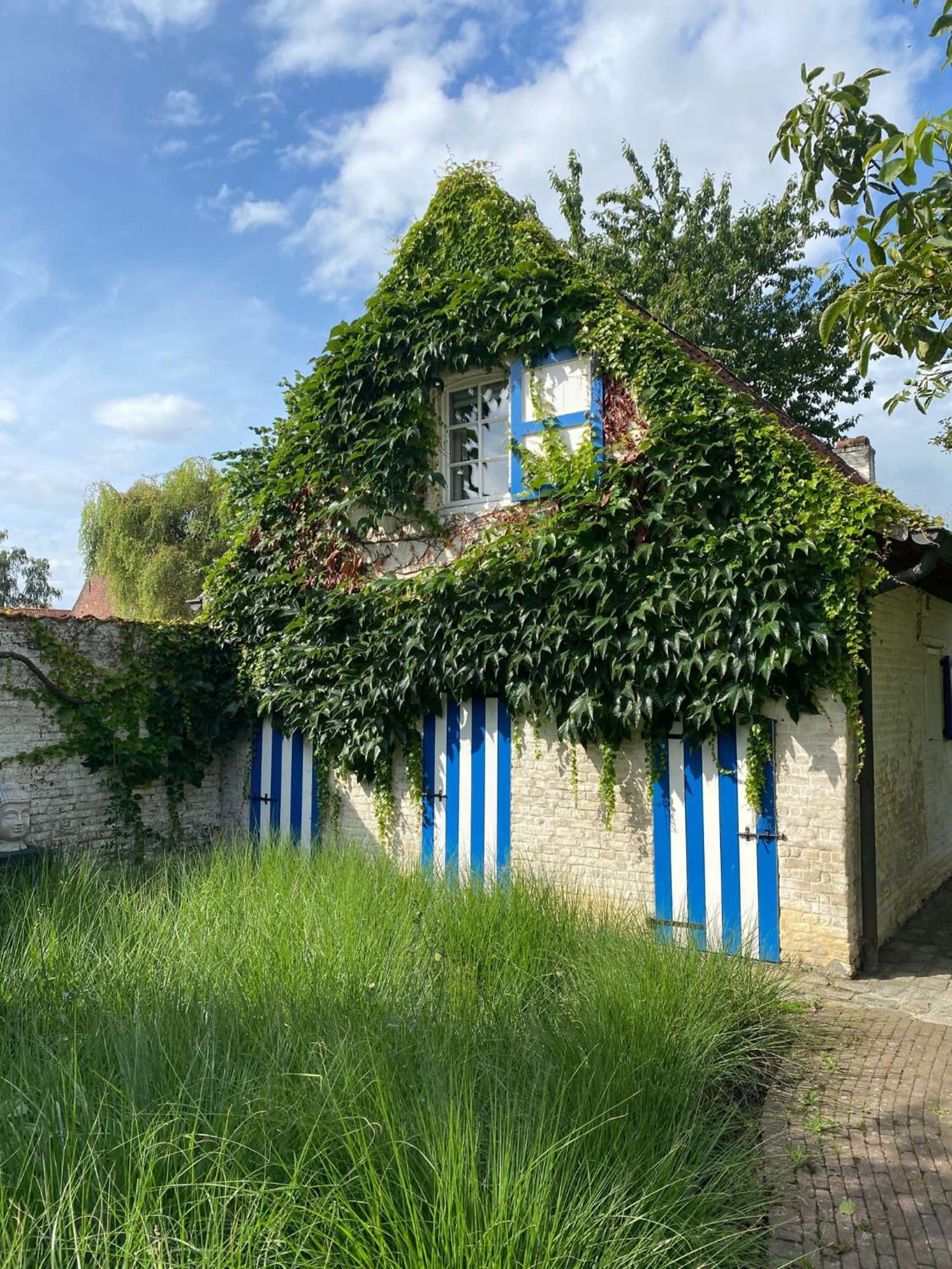 Hamiora wellness B&B