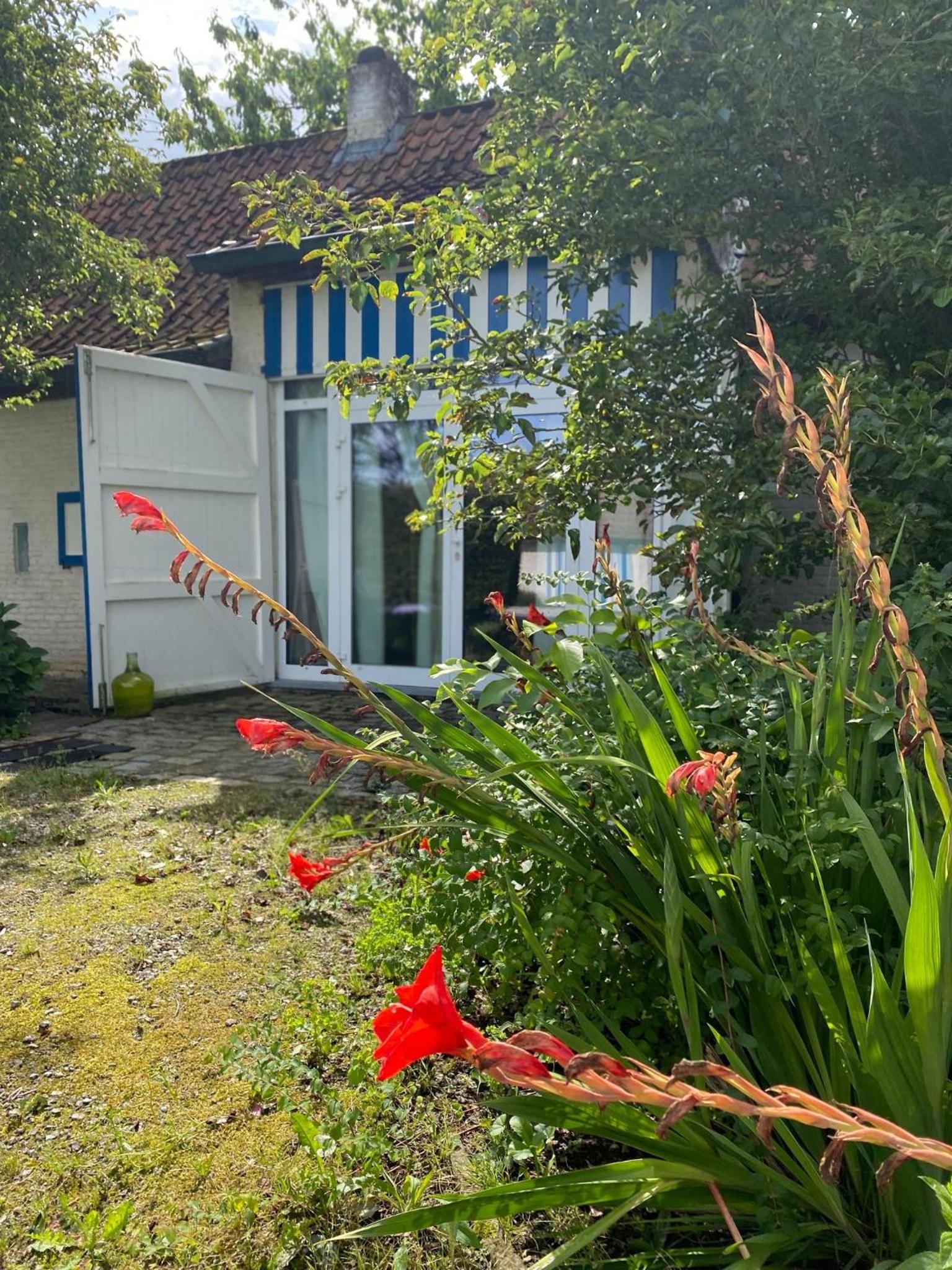 Hamiora wellness B&B