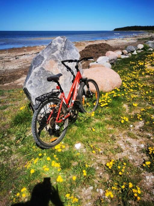 Idaraugu puhkemaja Saaremaa põhjarannikul