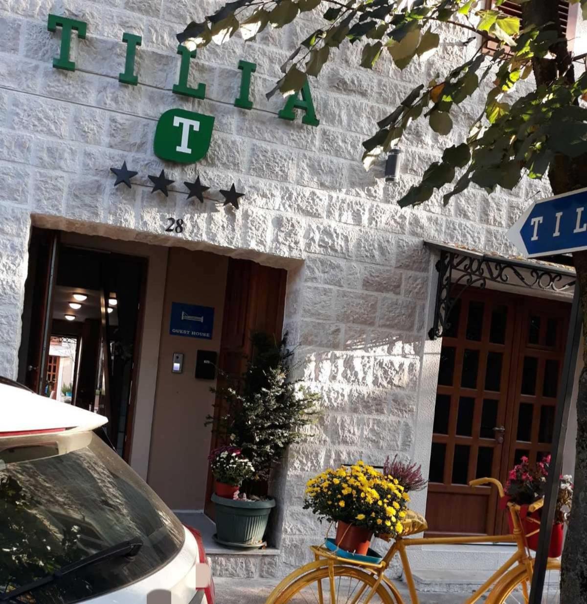 Tilia photo 3