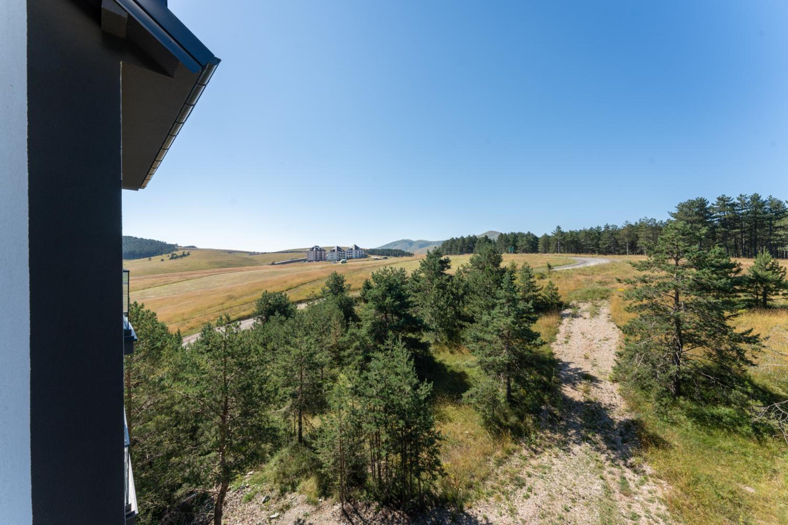 Zlatibor Pine View view 4