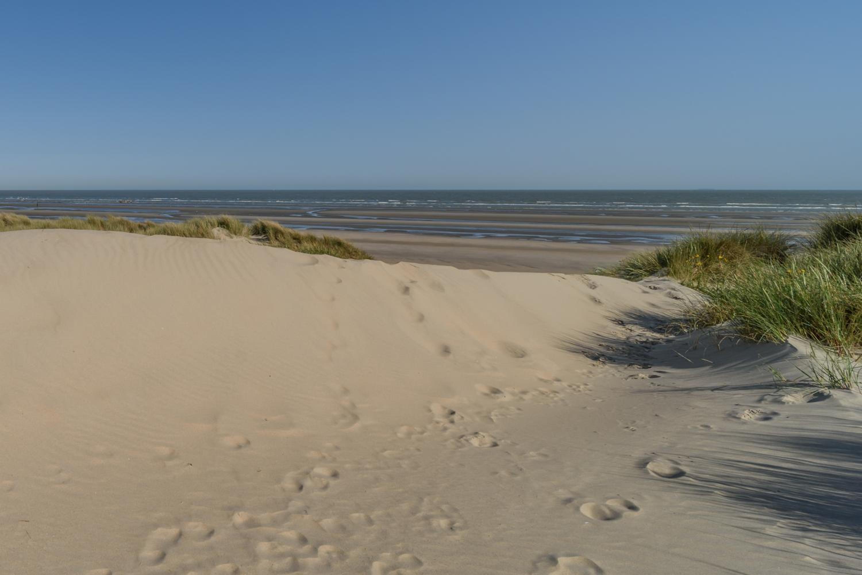Le Calme des Dunes