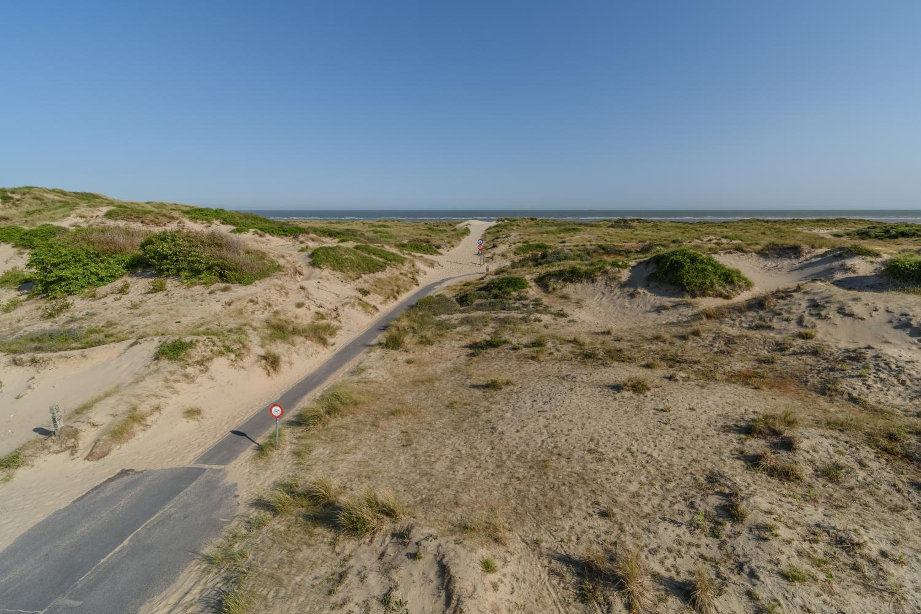 Le Calme des Dunes