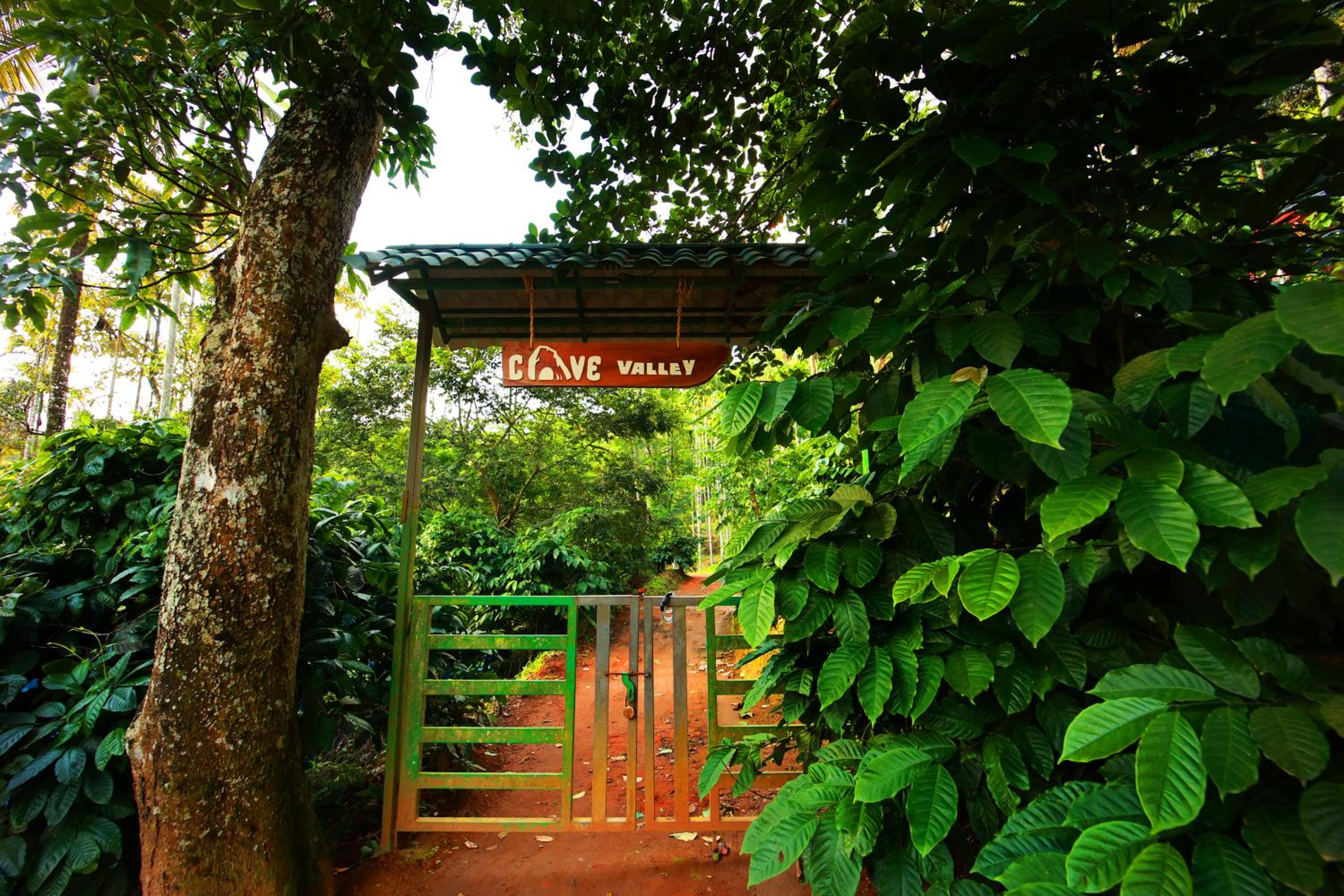 Photo 127