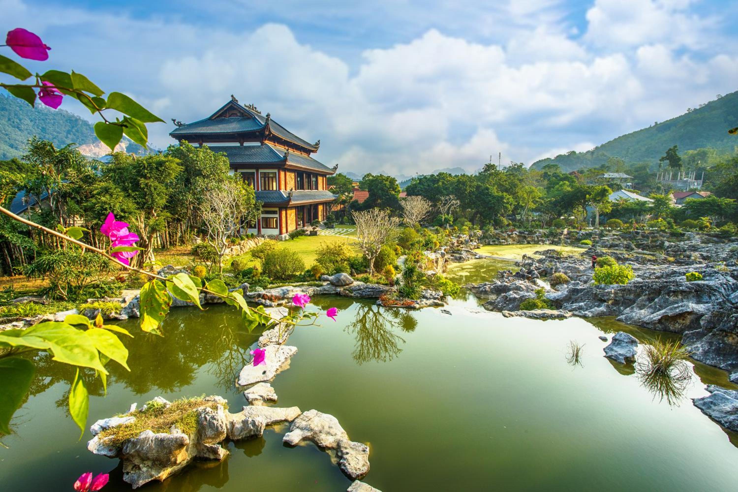 HỒ ĐÁ CỔ THIÊN LONG Hoa Le