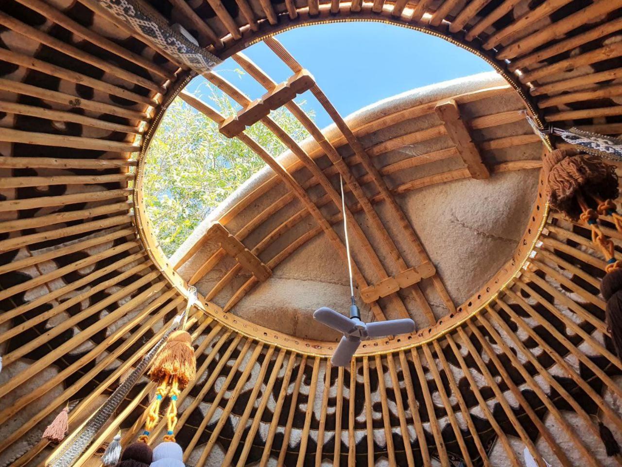 Agat Yurt Camp view 2