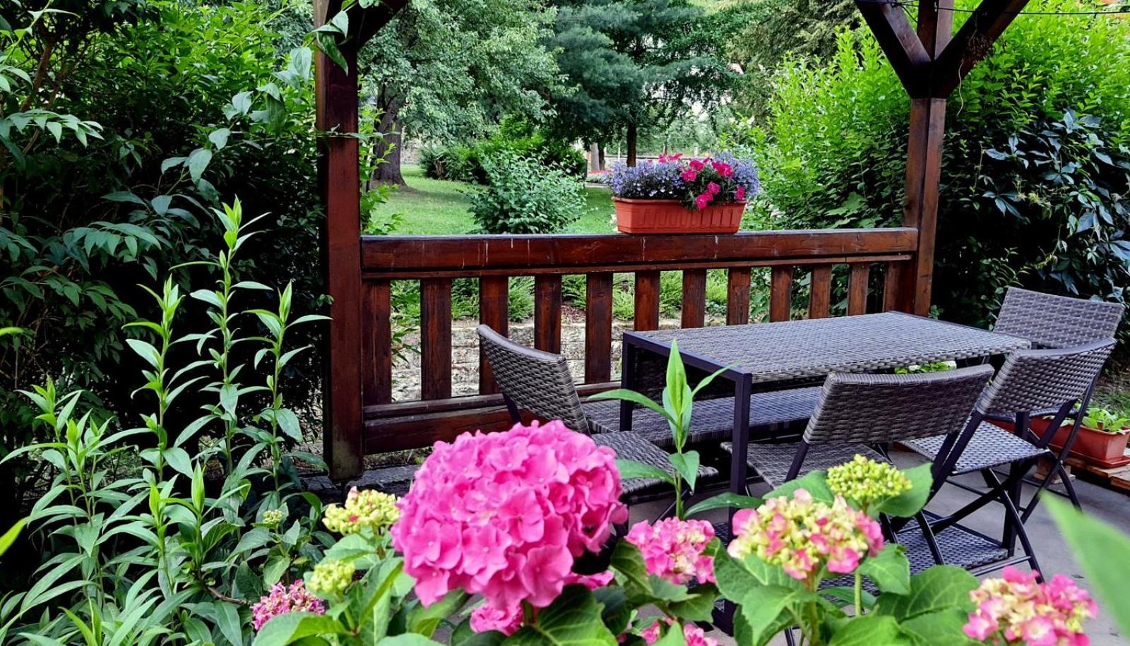 ArtHouse Am Kurpark Bad Schandau
