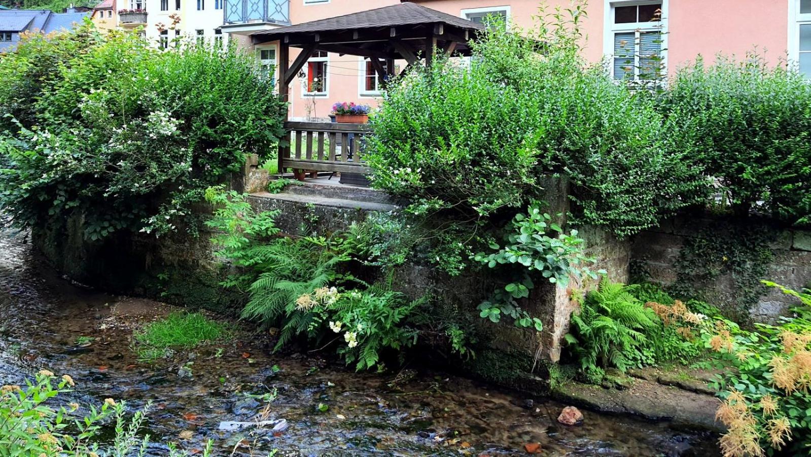 ArtHouse Am Kurpark Bad Schandau