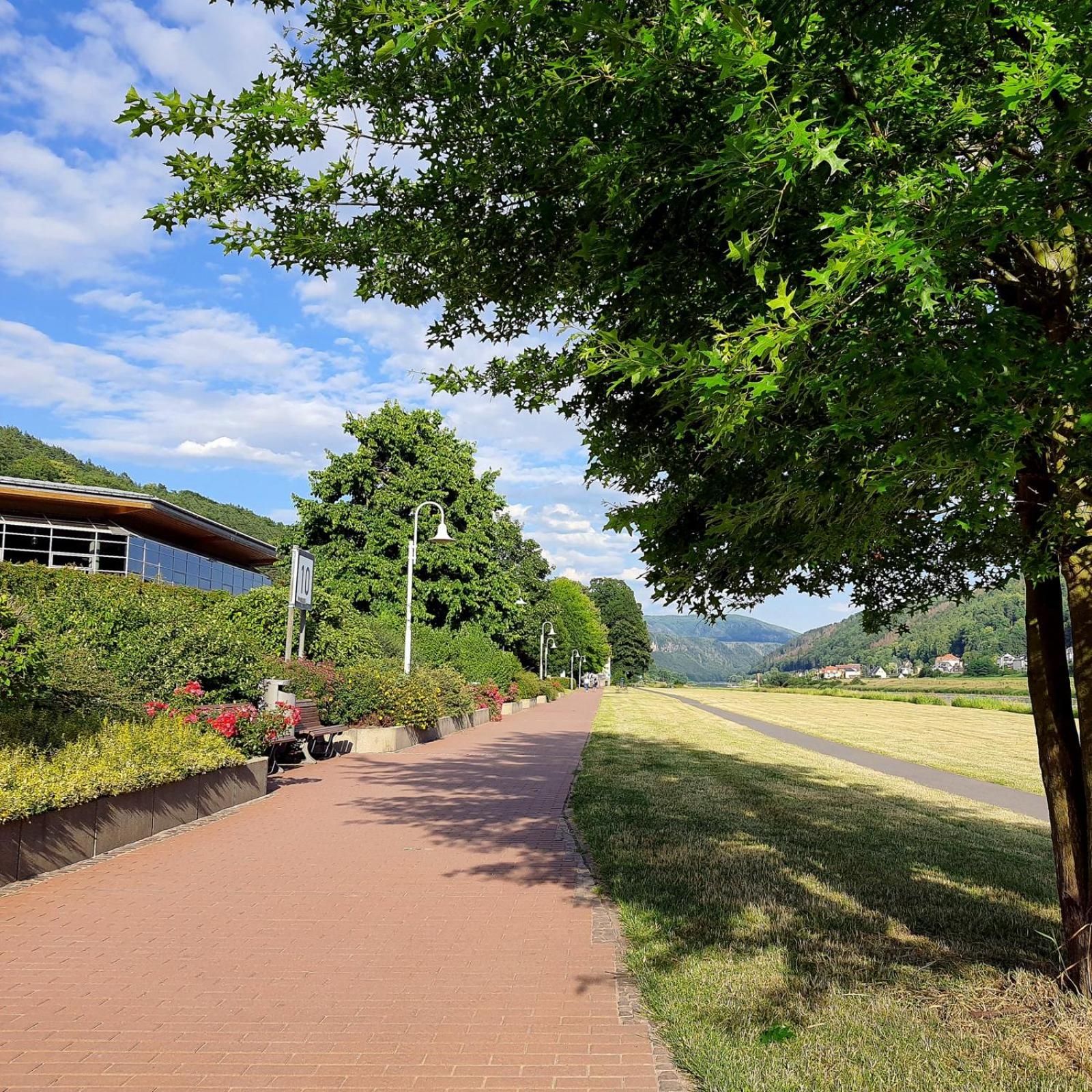 ArtHouse Am Kurpark Bad Schandau