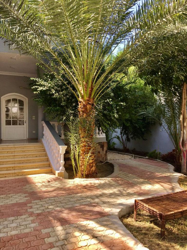Villa Elkoumy Apartments
