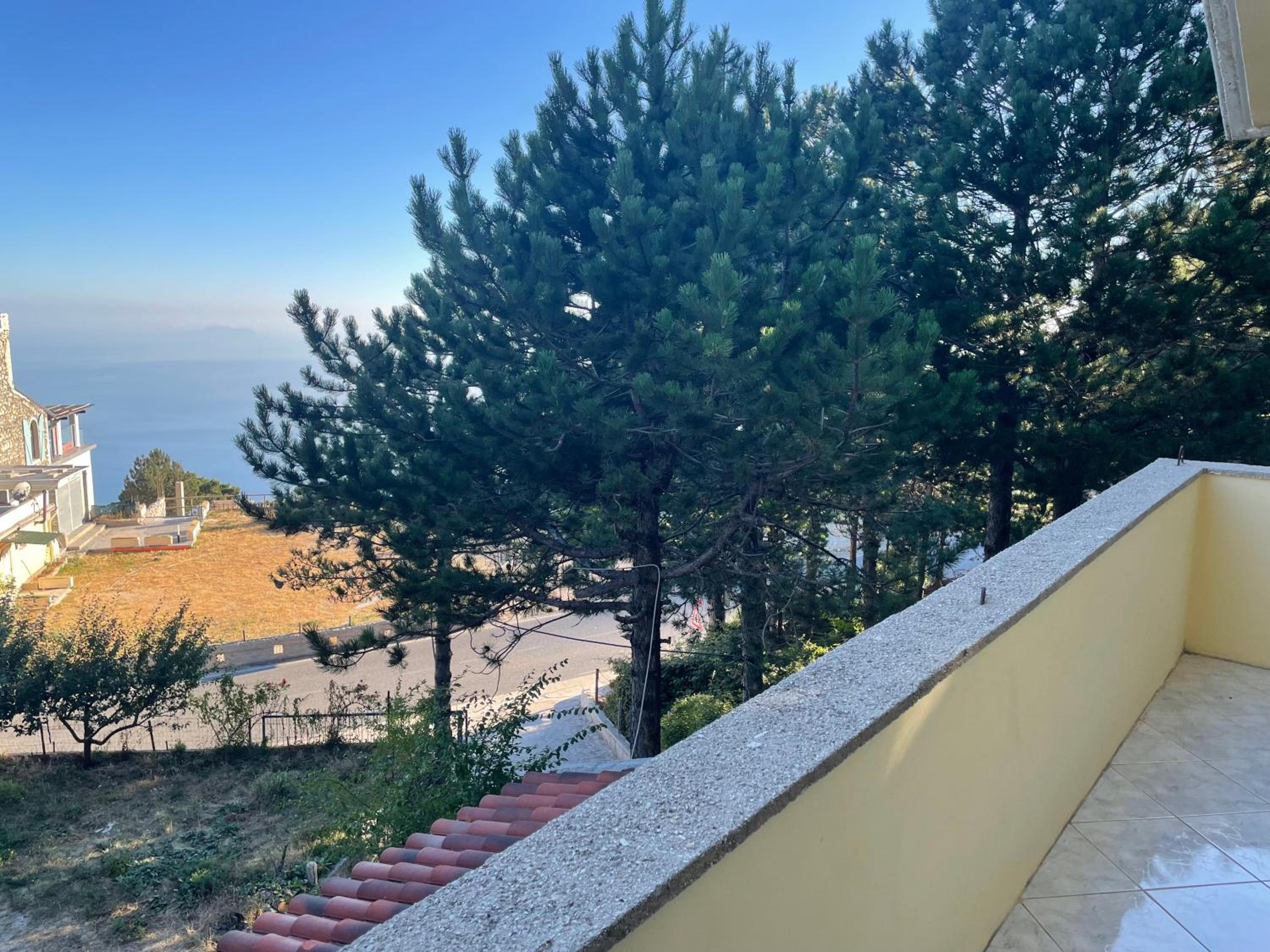Eagle's nest