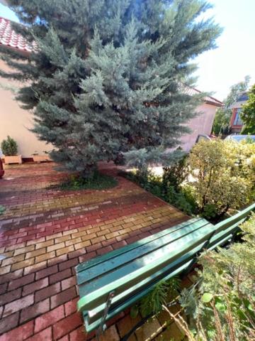 Sofi appartment