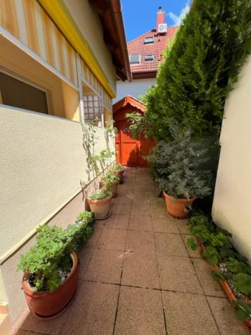 Sofi appartment