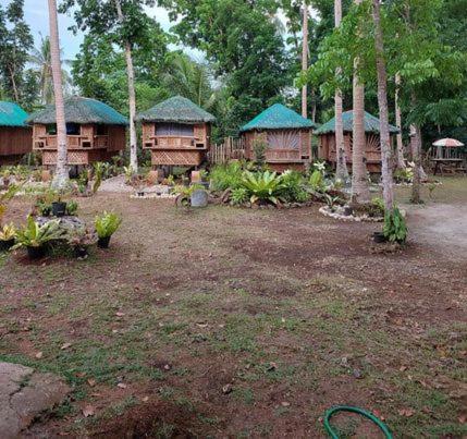 Elvira's Homestay view 3
