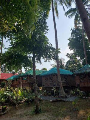 Elvira's Homestay view 4