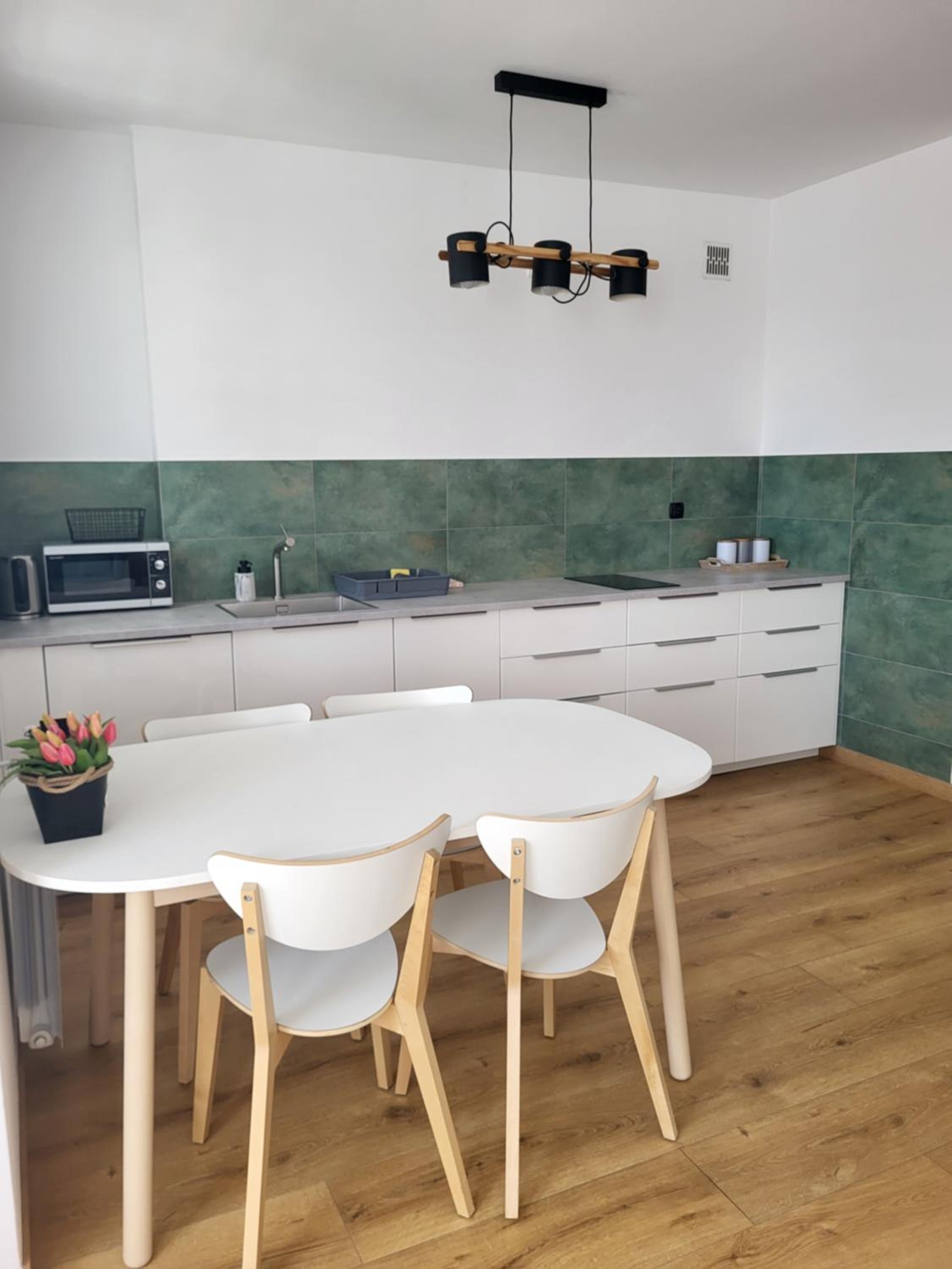 Apartament Jezioro w sercu Ostródy view 2