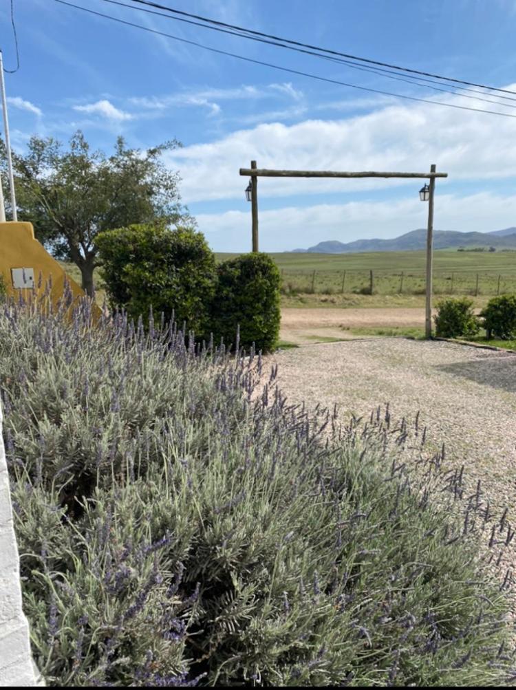 La Candelaria - Casas de Campo -