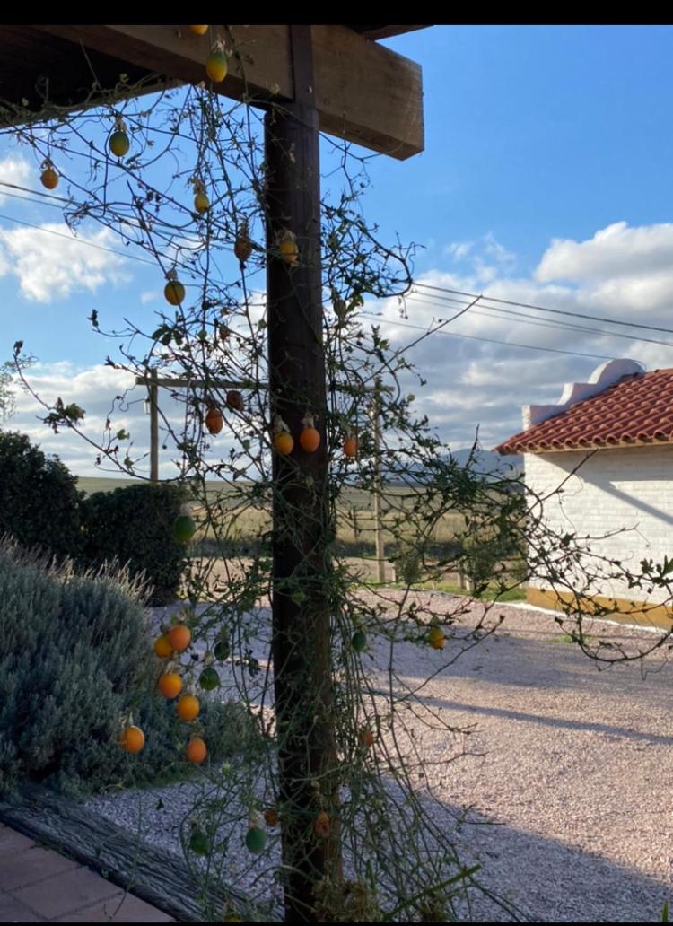 La Candelaria - Casas de Campo -