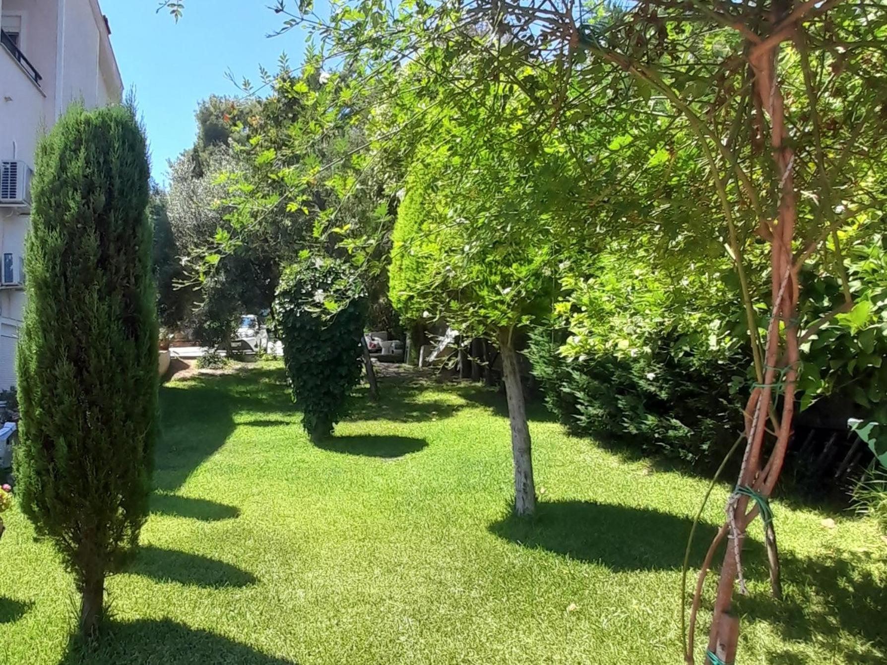 Photo 43