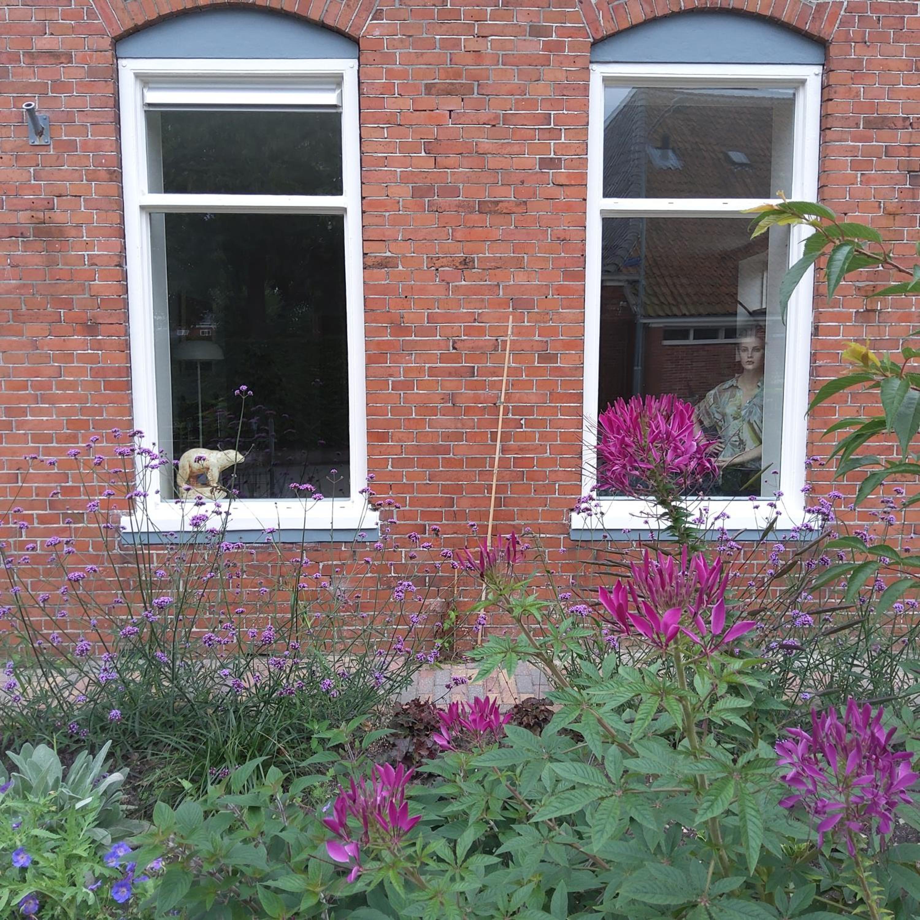 Bed & Breakfast Appartement 't Haventje view 4