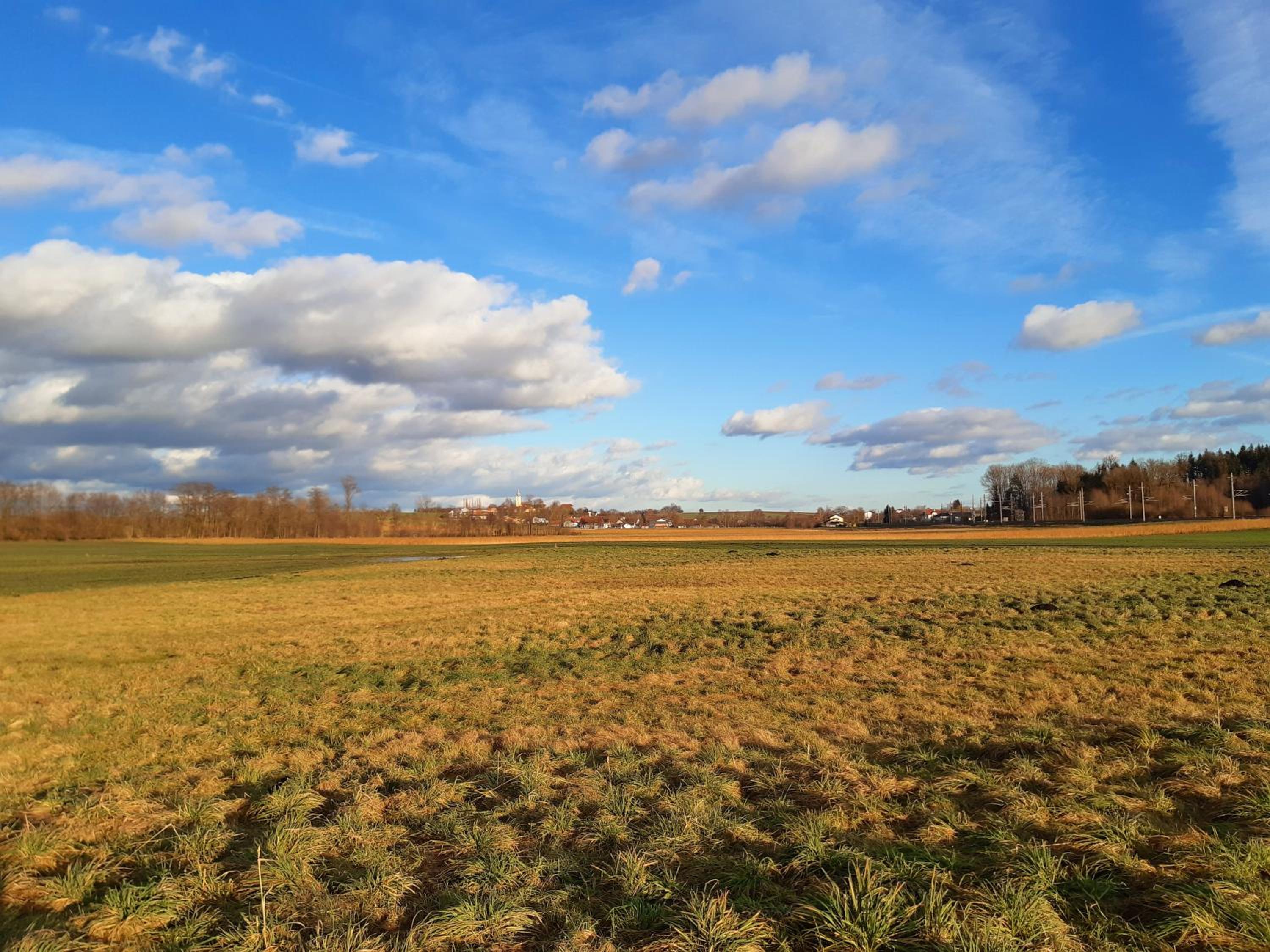Schöne Altbauwohnung auf dem Land view 5