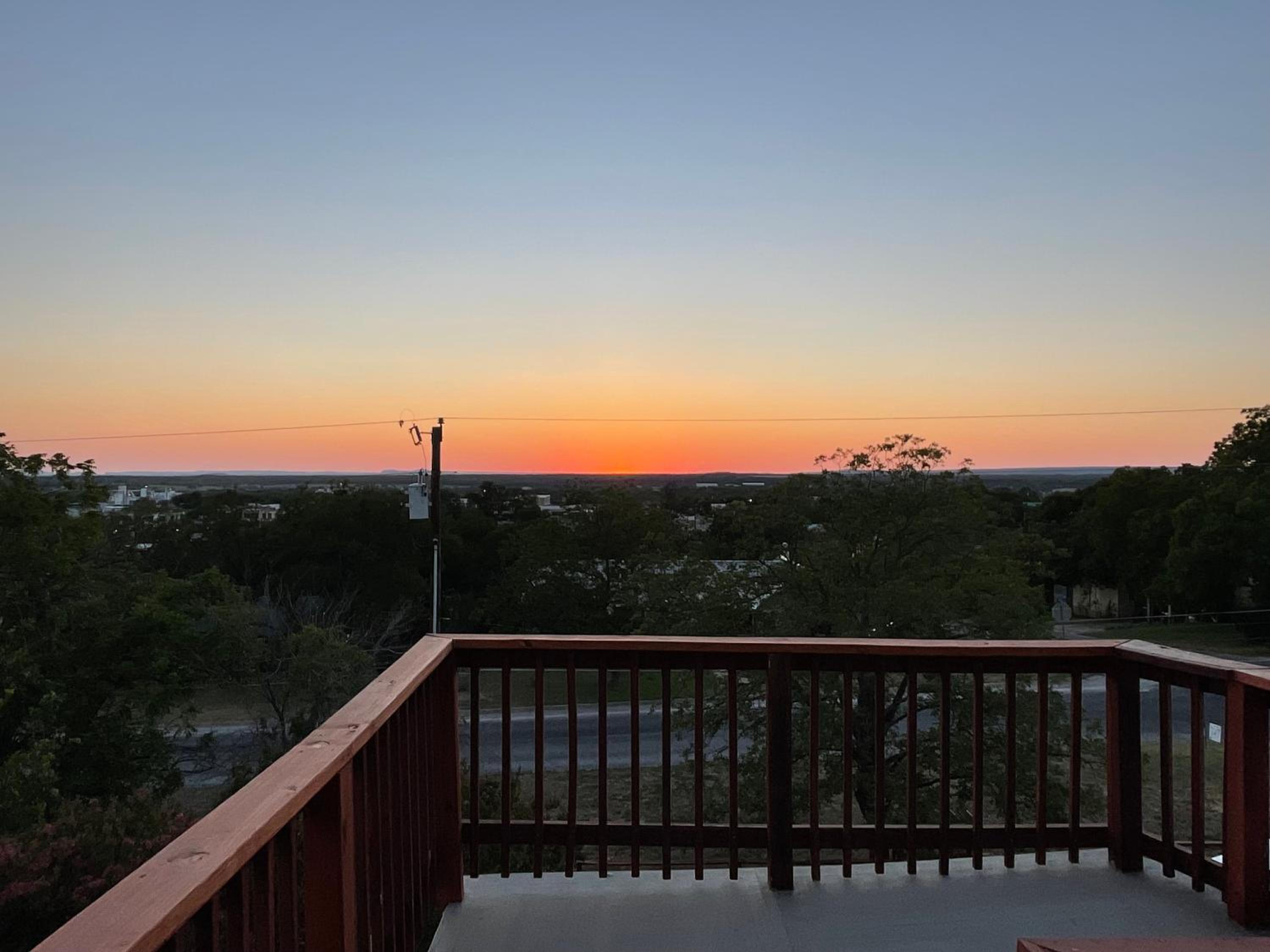 311 Wildflower view 3