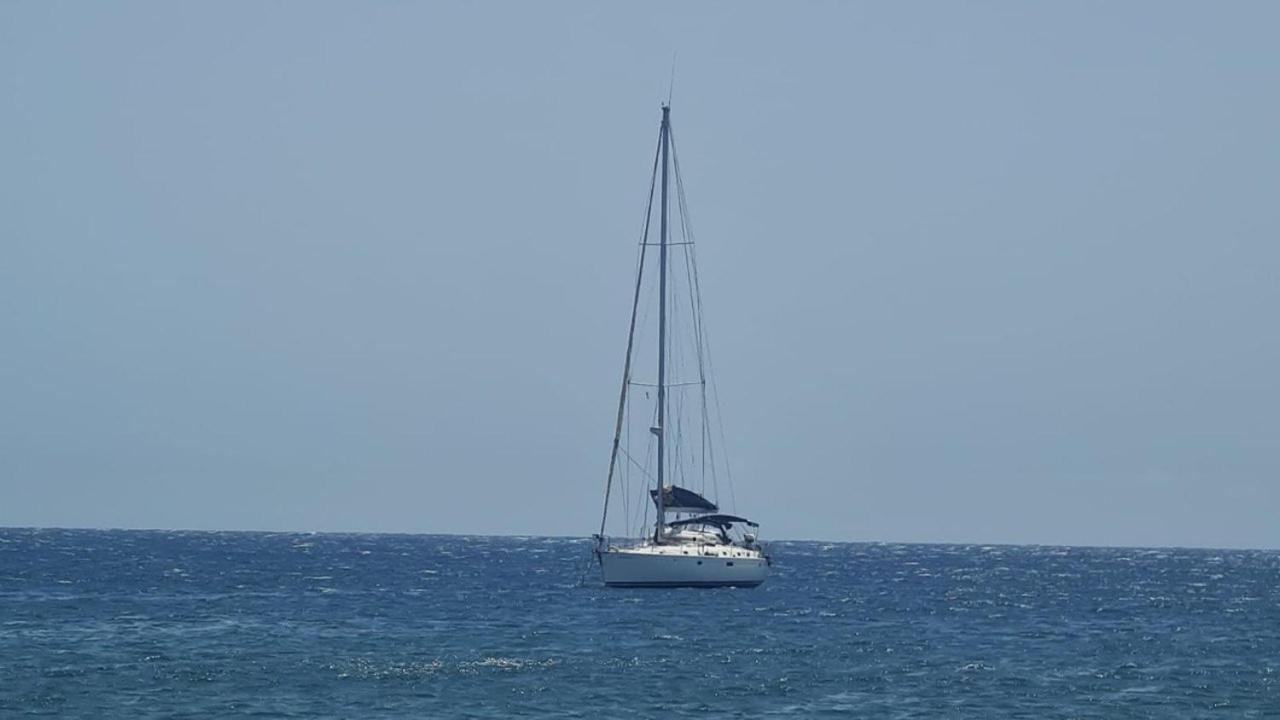 Mariposa Azul