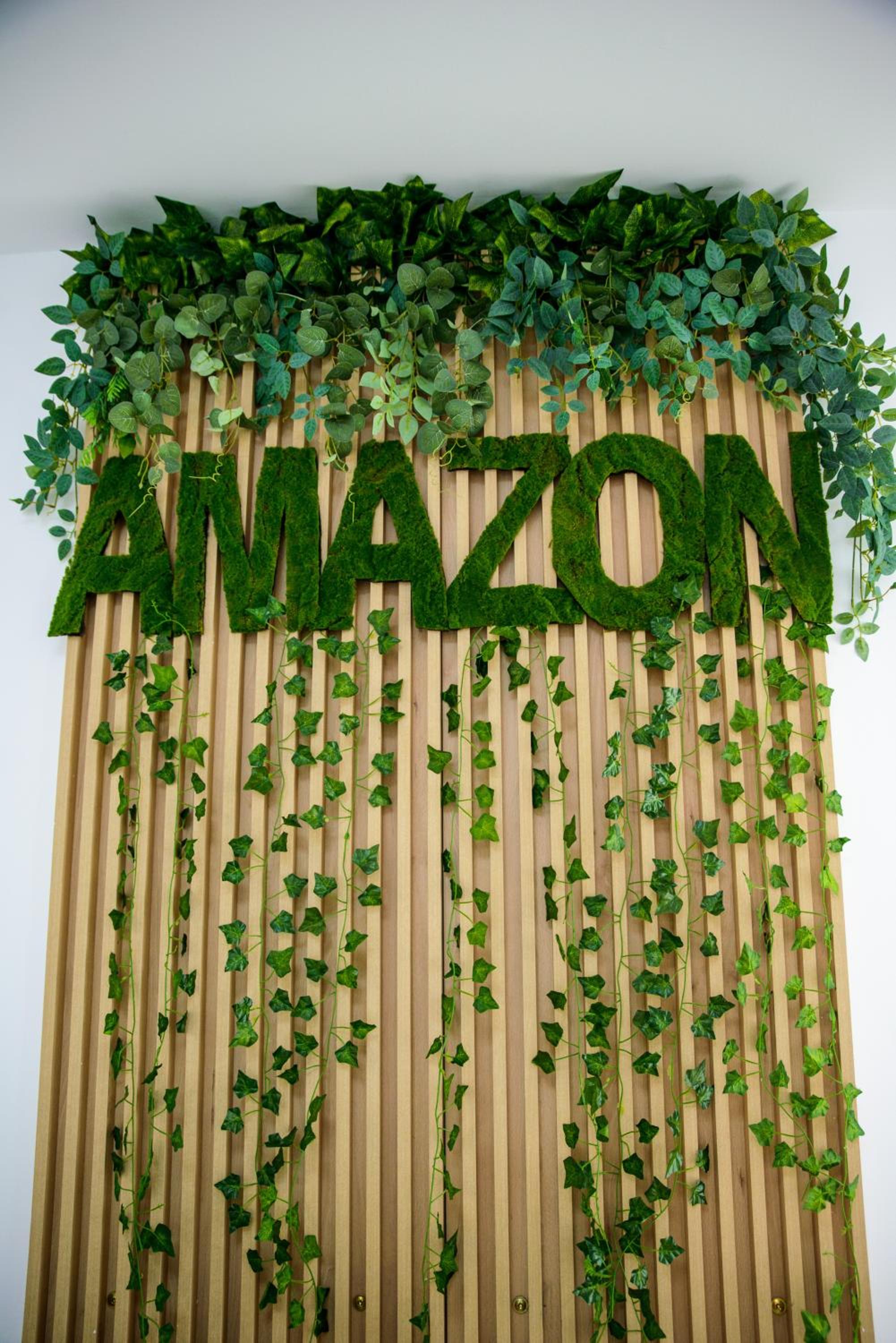 Vila AMAZON view 2