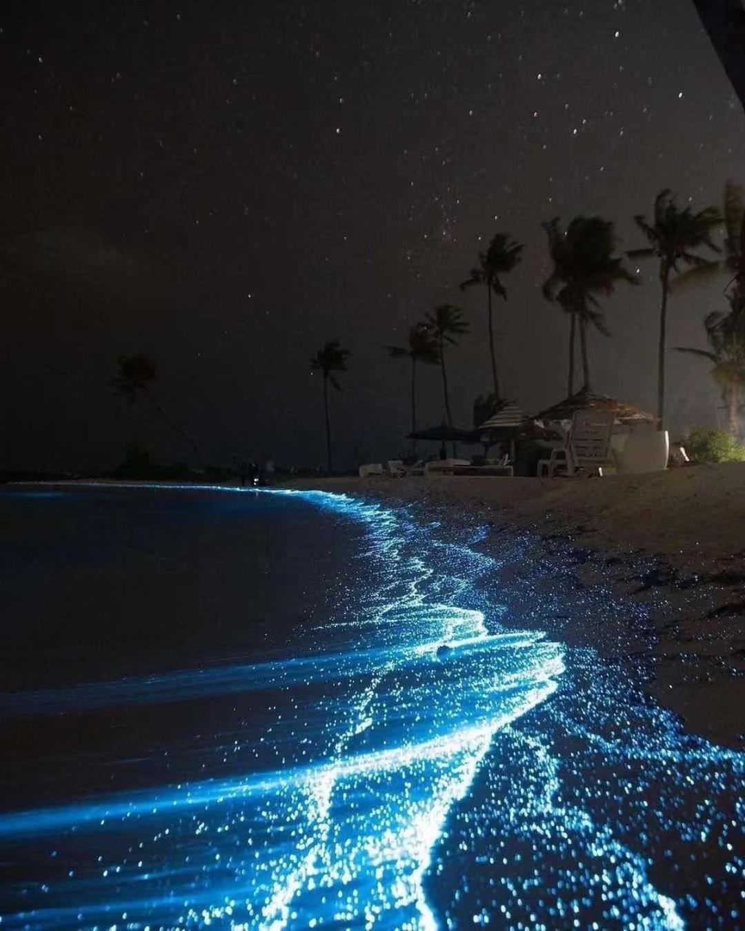 SIS Tourist Villa, Mathiveri, Maldives