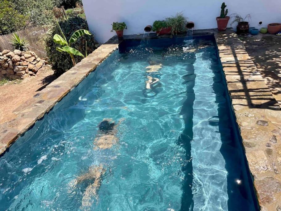 Casa Cortijo con piscina privada en Betis