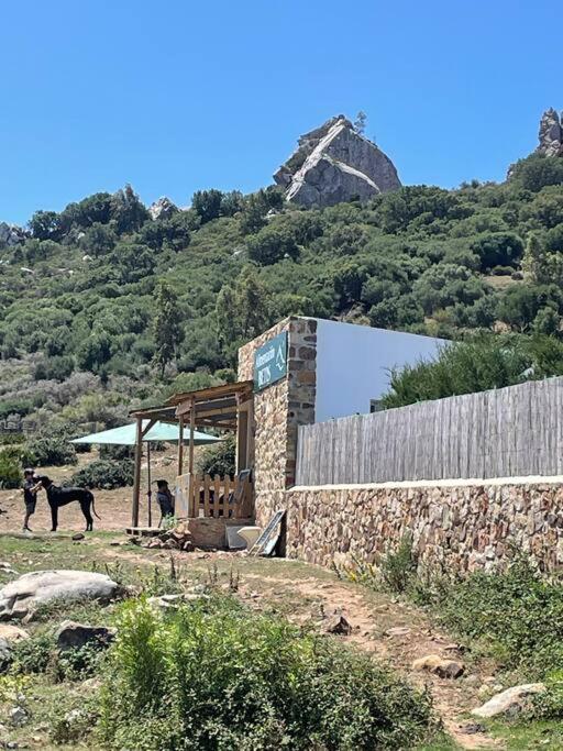 Casa Cortijo con piscina privada en Betis