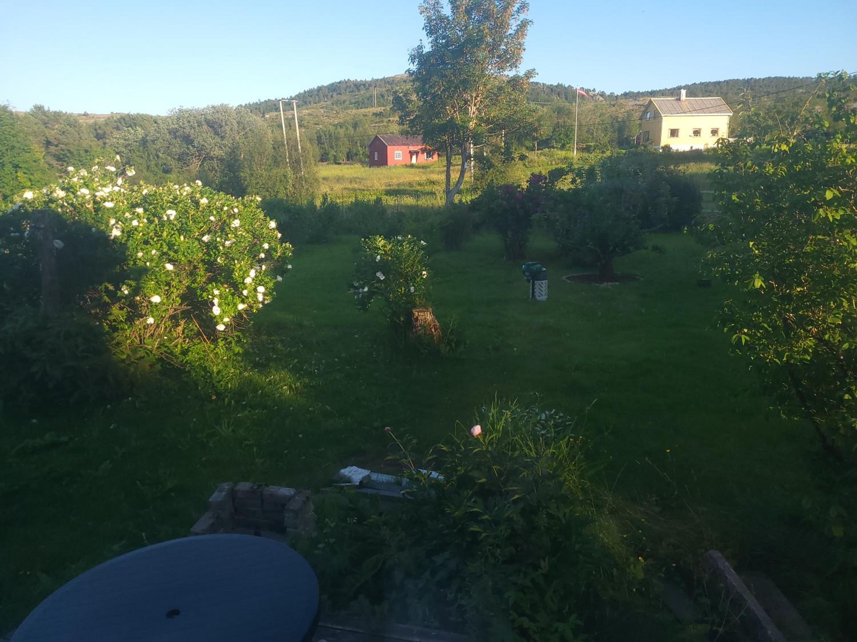 Photo 43