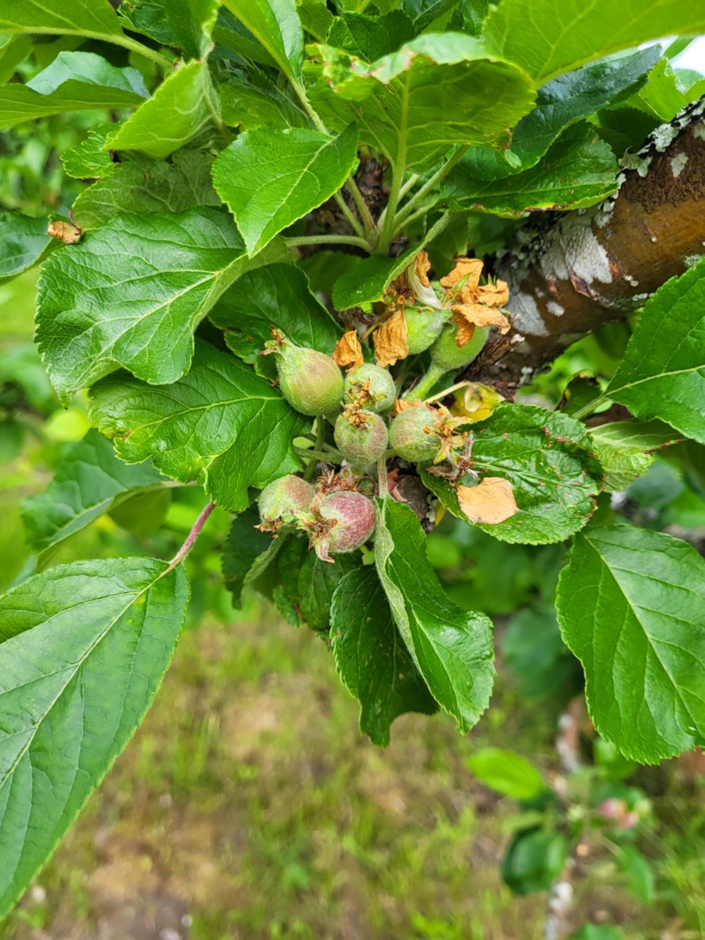 Photo 42