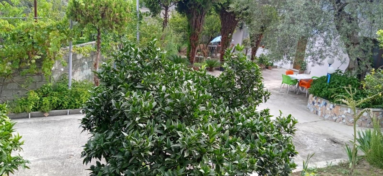 Green Oasis Holiday Home Vlore
