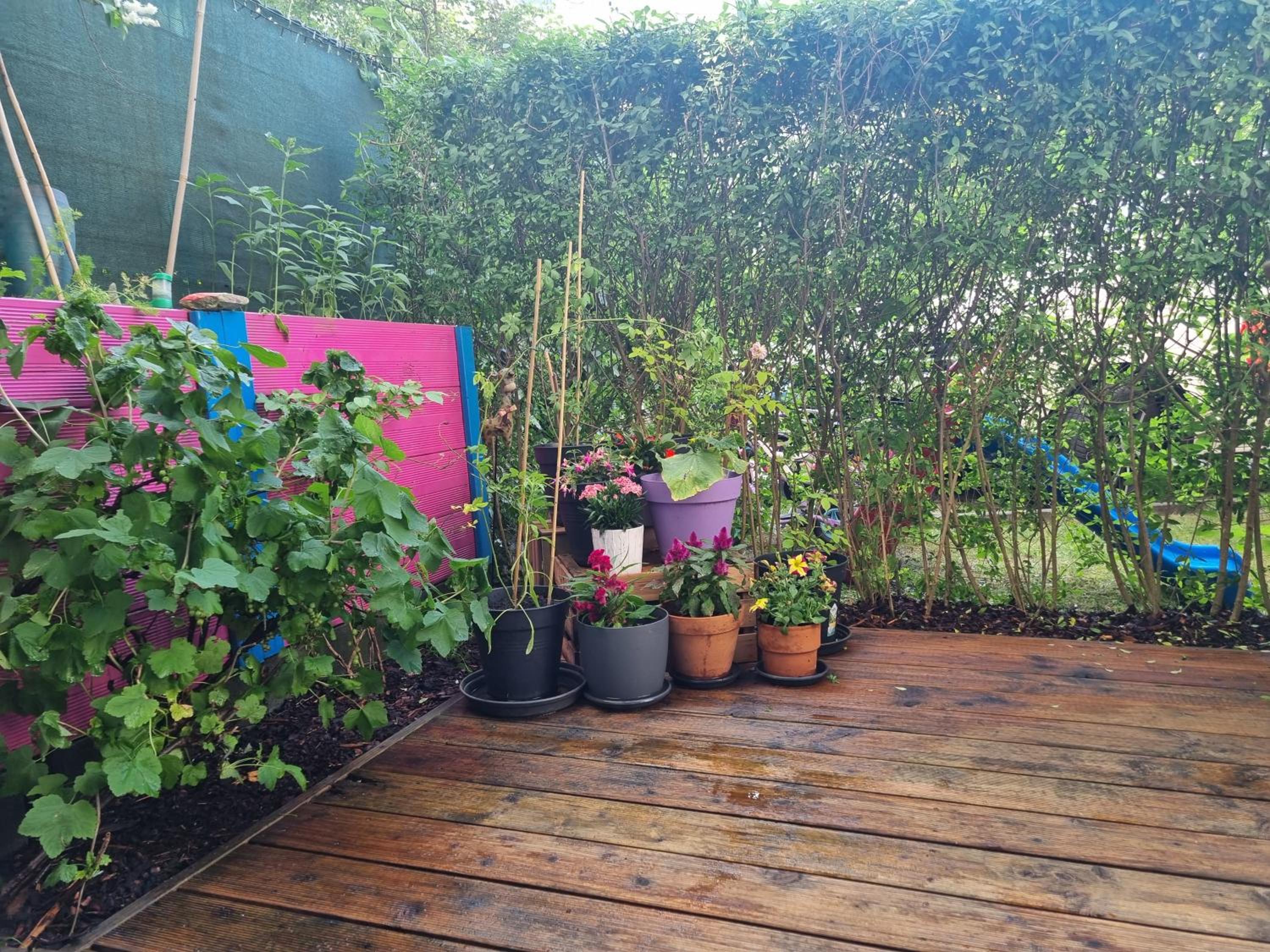 Helenas place