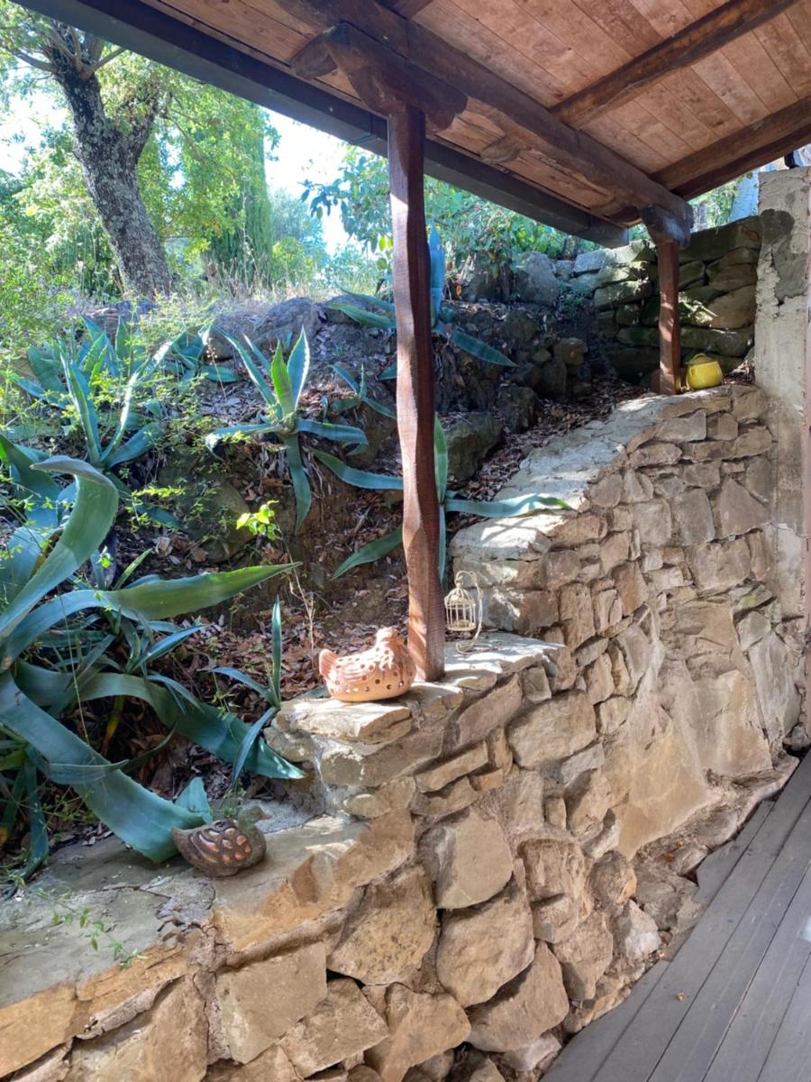 casa intera giardino e piscina photo 2