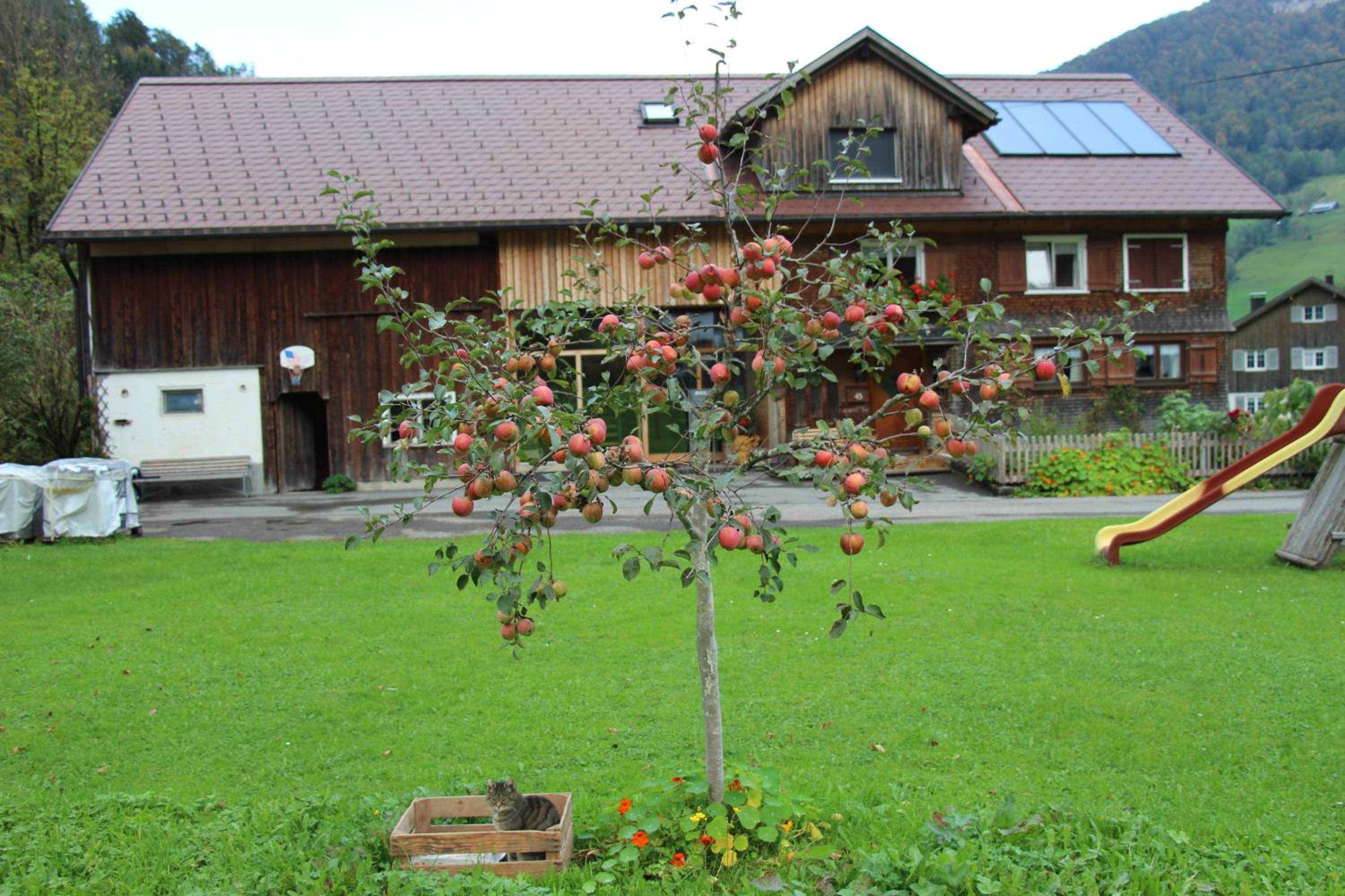 Photo 29