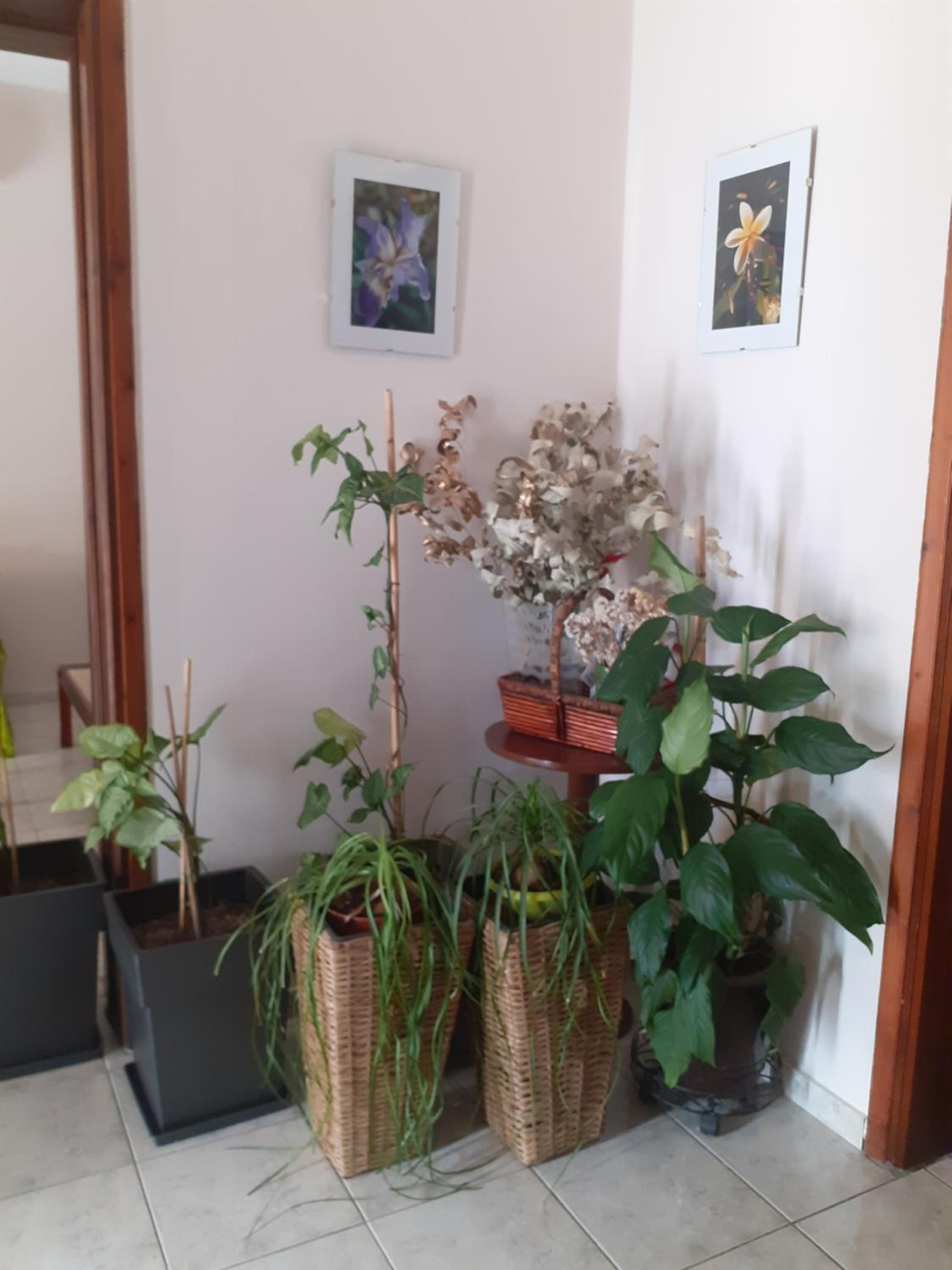 Vagelis 2 Nemea apartments