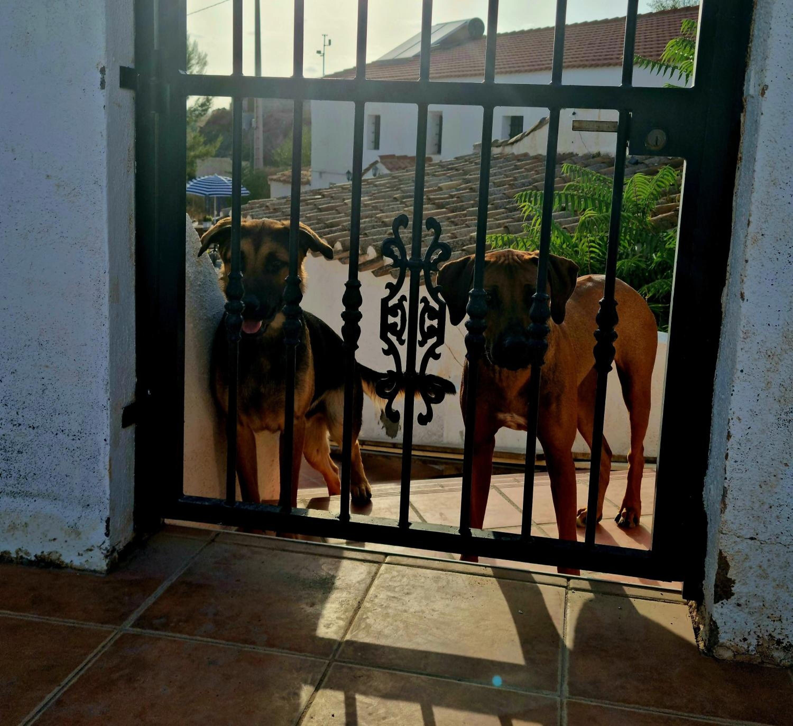 Con vistas Oria