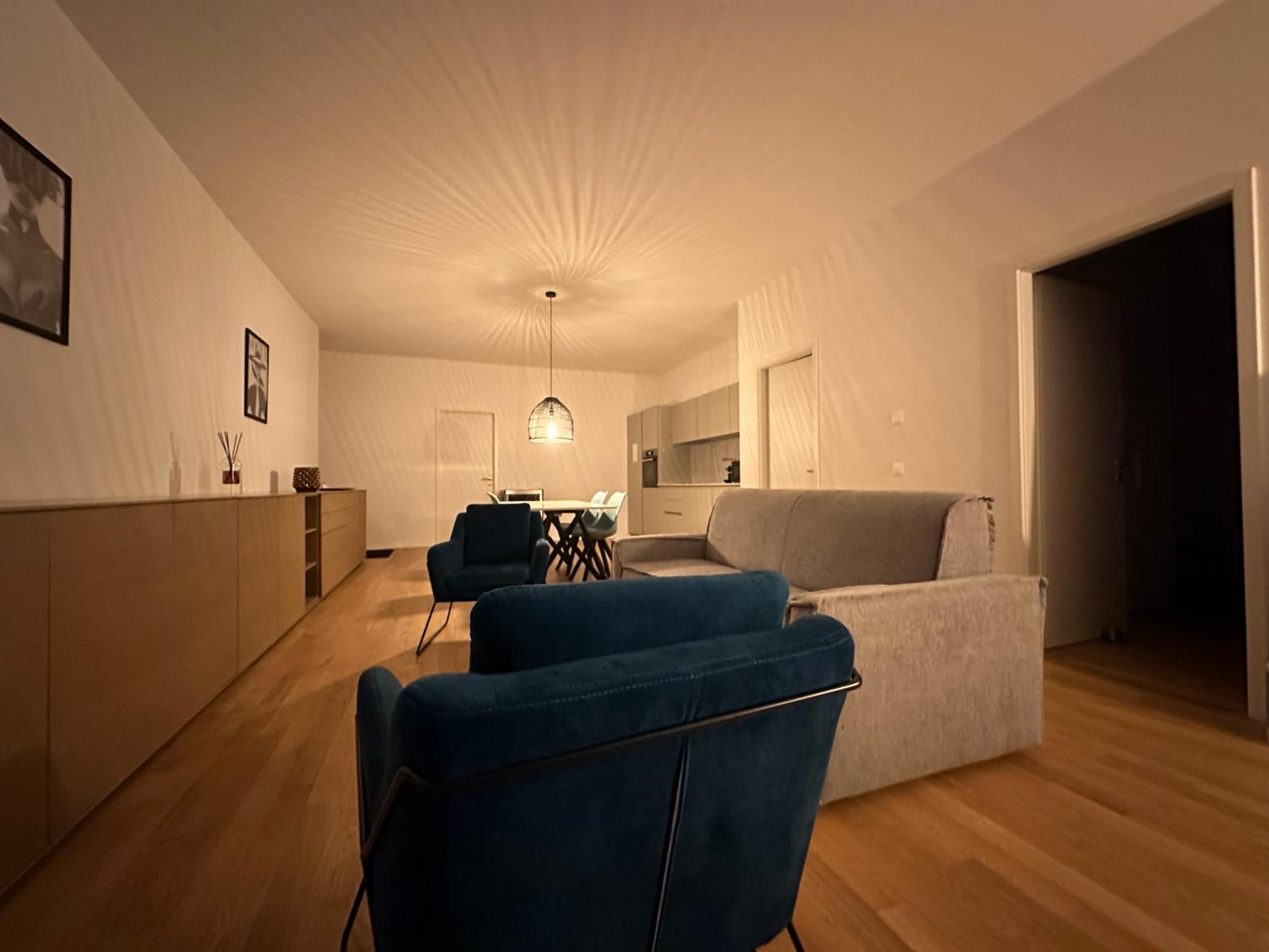 Grand Appartement Lumineux - STELLA Loft - À deux pas du Lac Léman