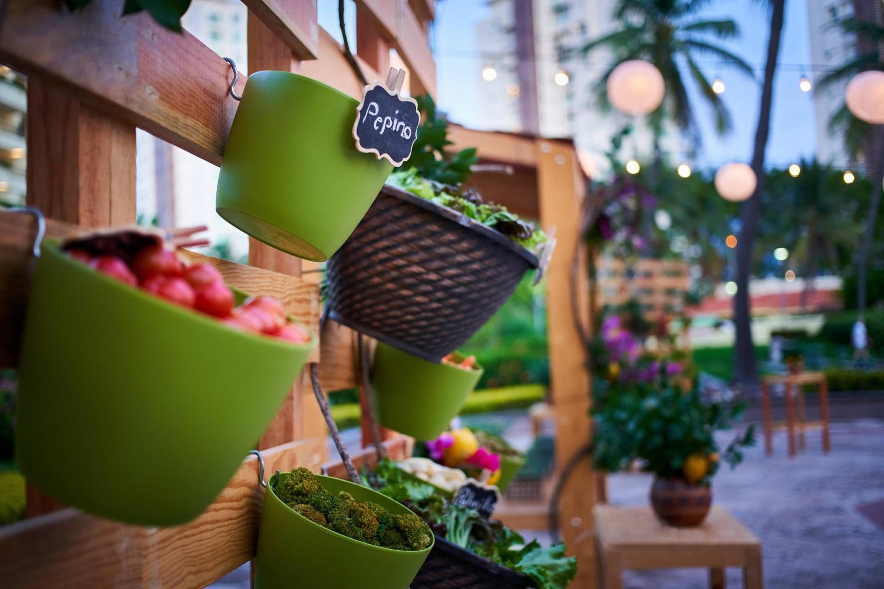 Puerto Vallarta Vacations - Marriott Puerto Vallarta Resort  Spa - Property Image 190