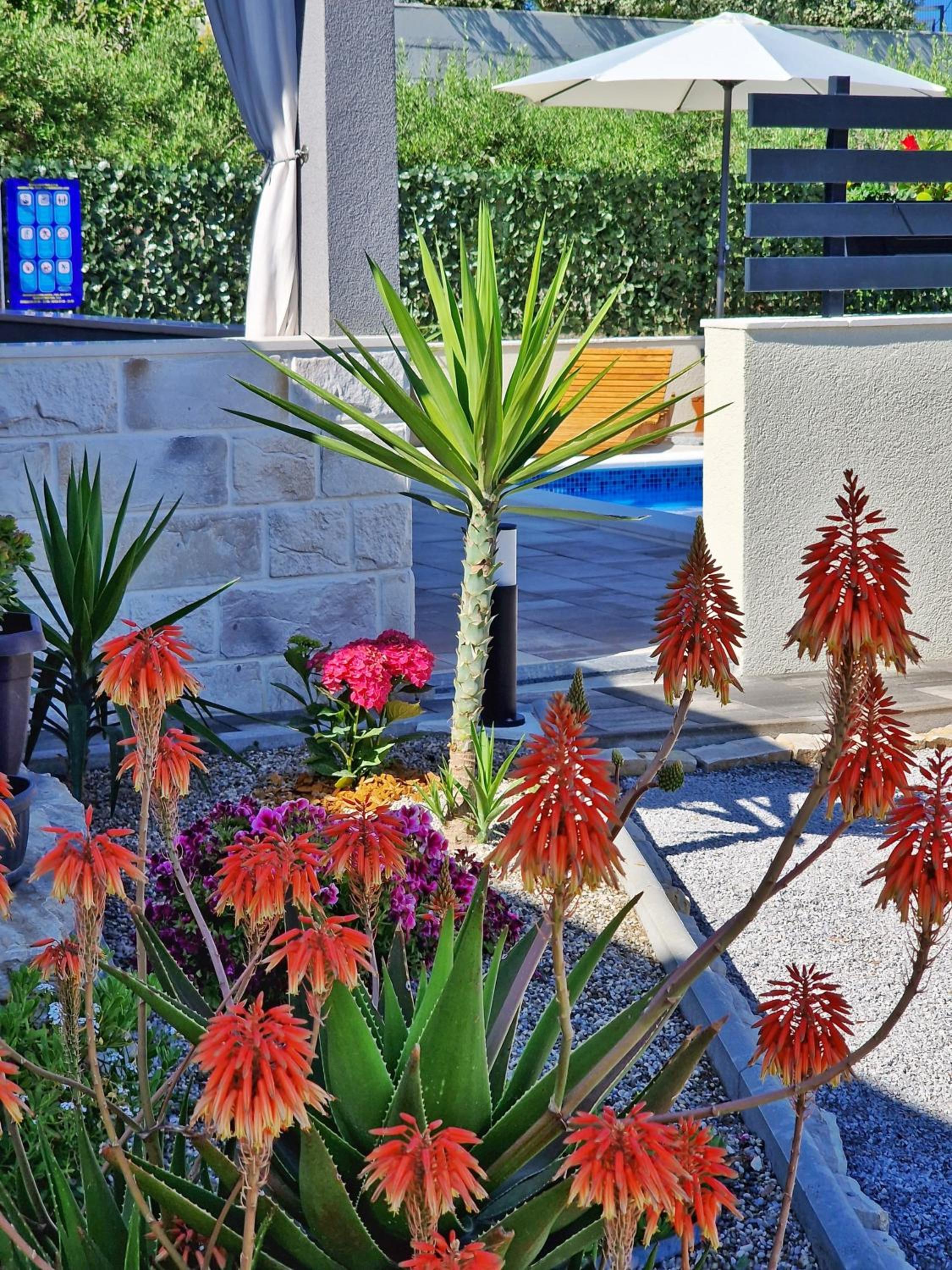 Casa Bella with Private Pool photo 2