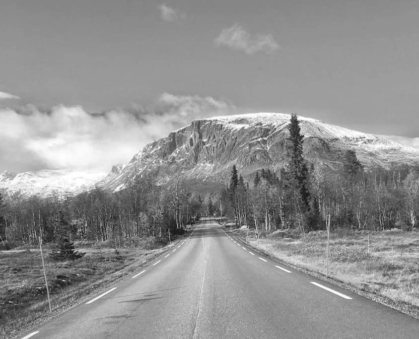 Photo 20