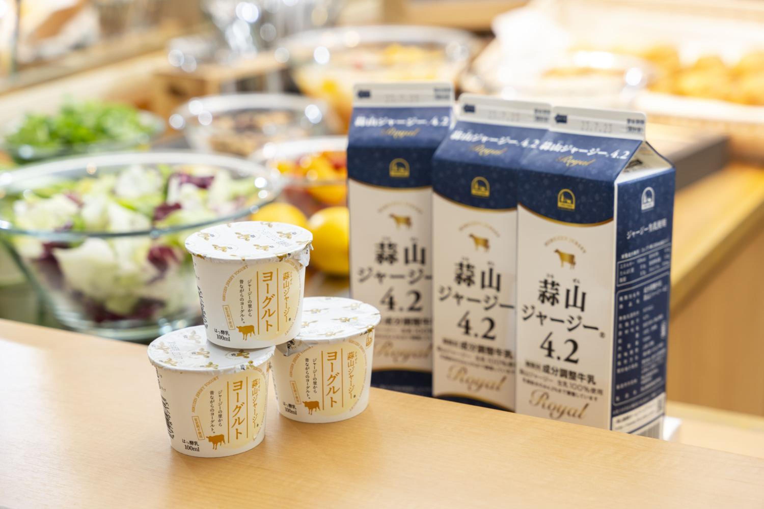 Okayama Vacations - Okayama Washington Hotel Plaza - Property Image 4