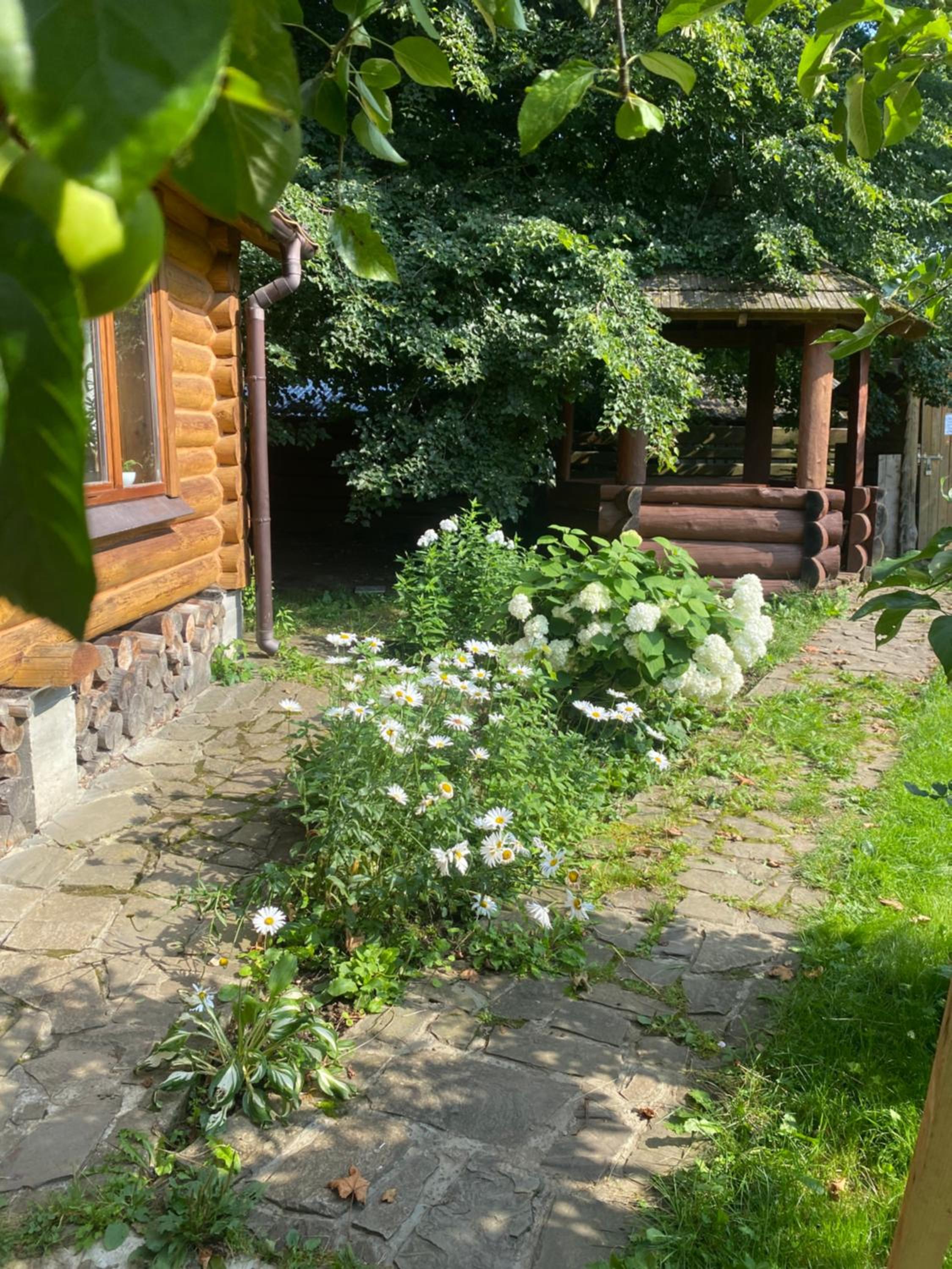 Oselia Lada