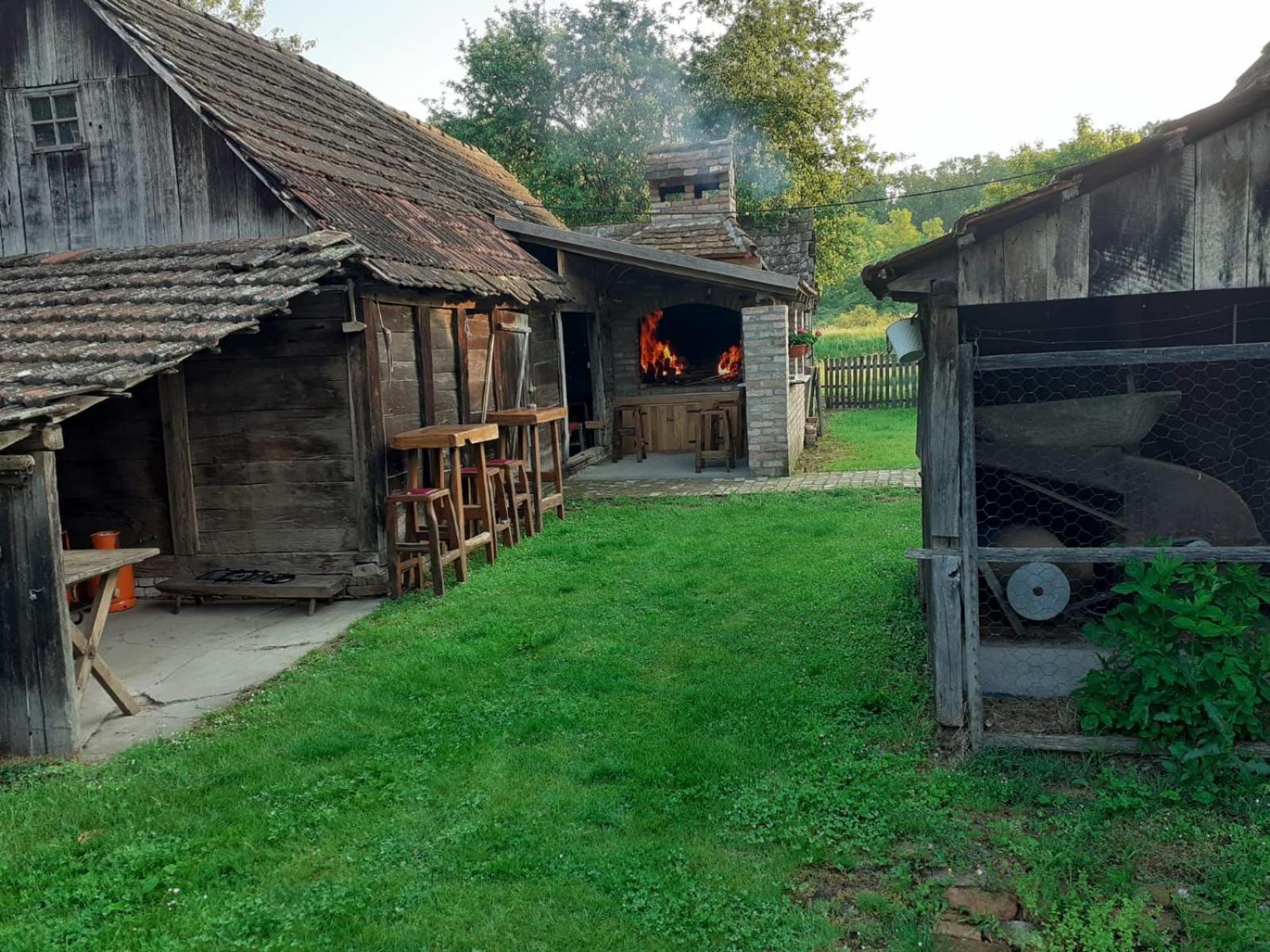 Orljak view 2