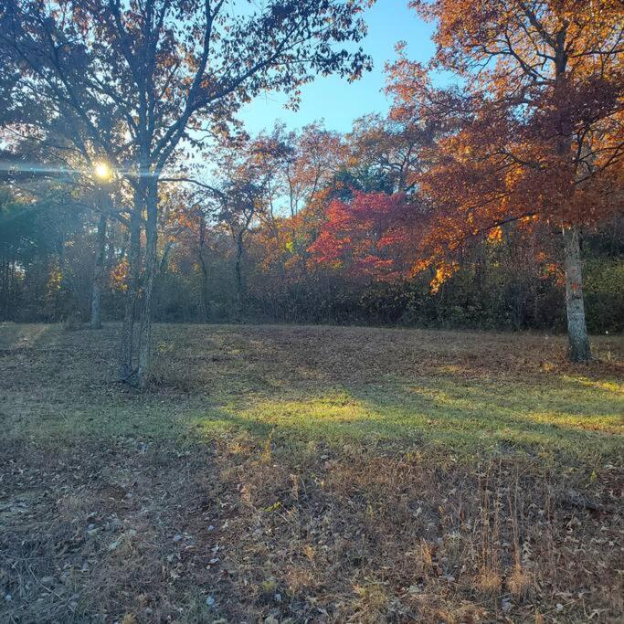 Photo 48
