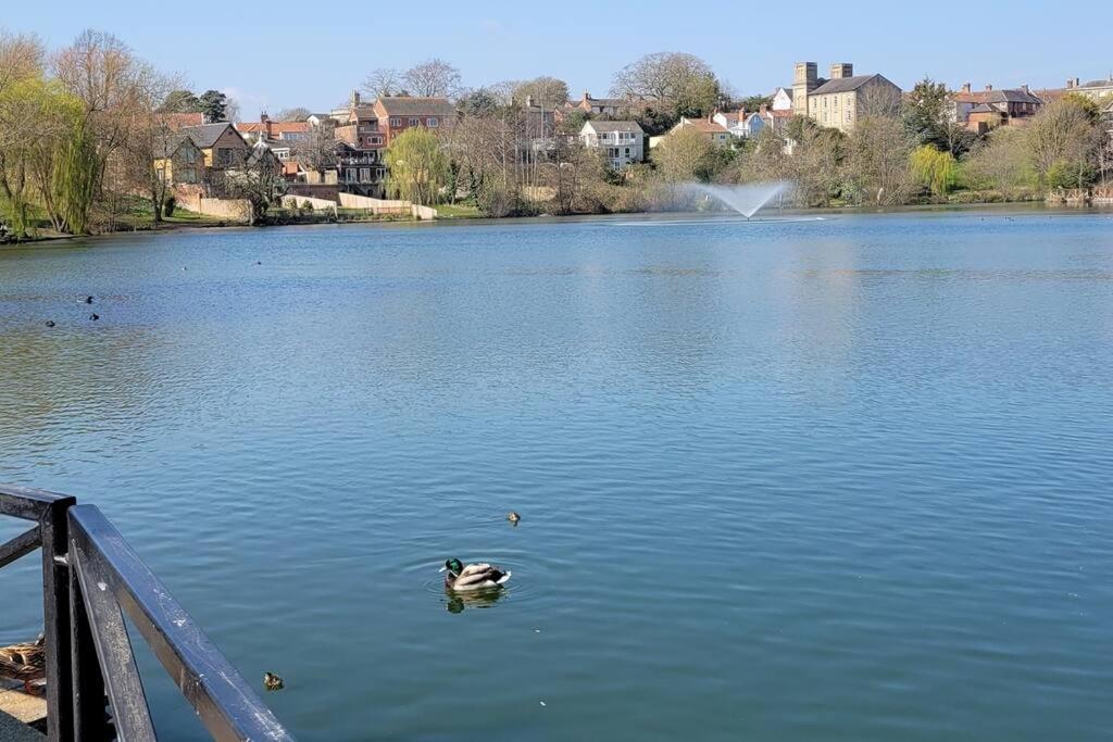 Entire 2 bed coach house in peaceful Norfolk village view 3