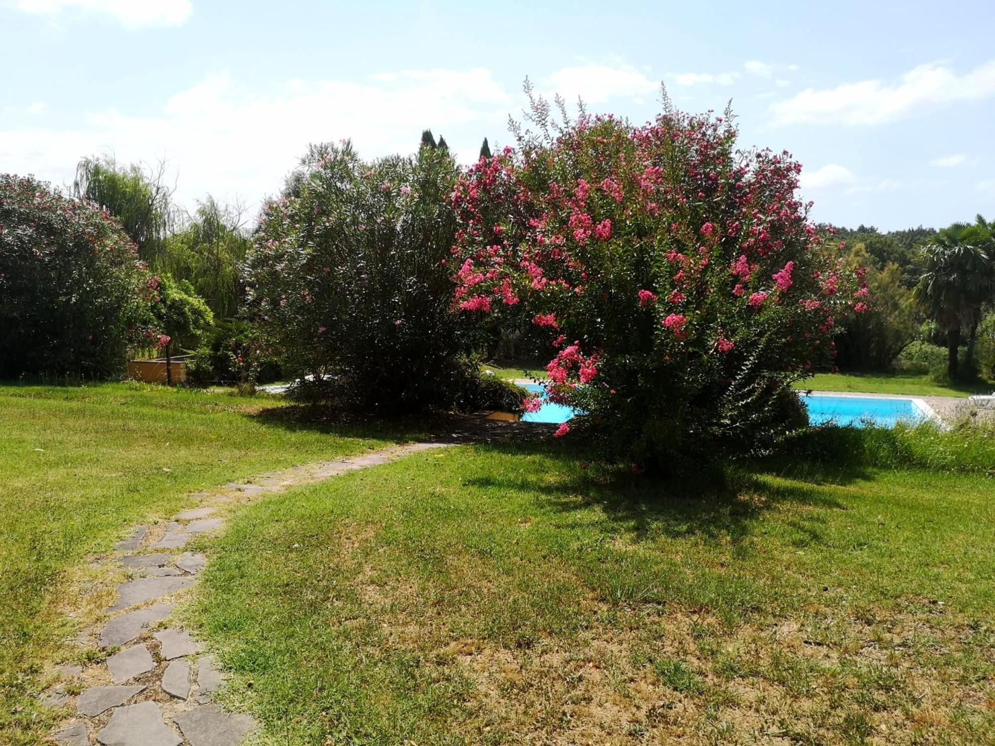 Photo 31