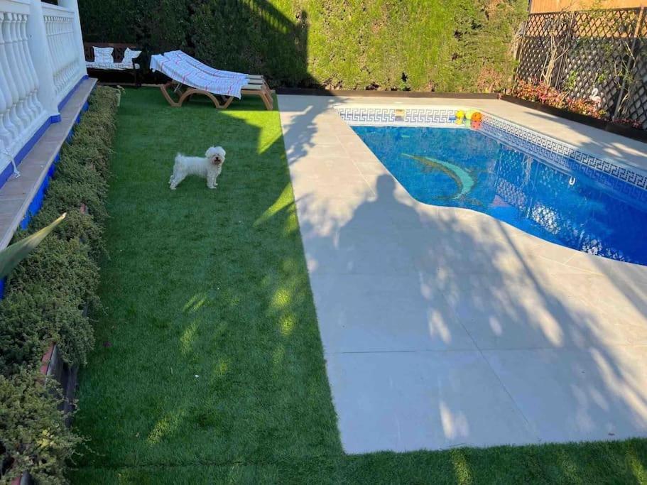 Chalet con piscina privada, parking y zona BBQ view 5